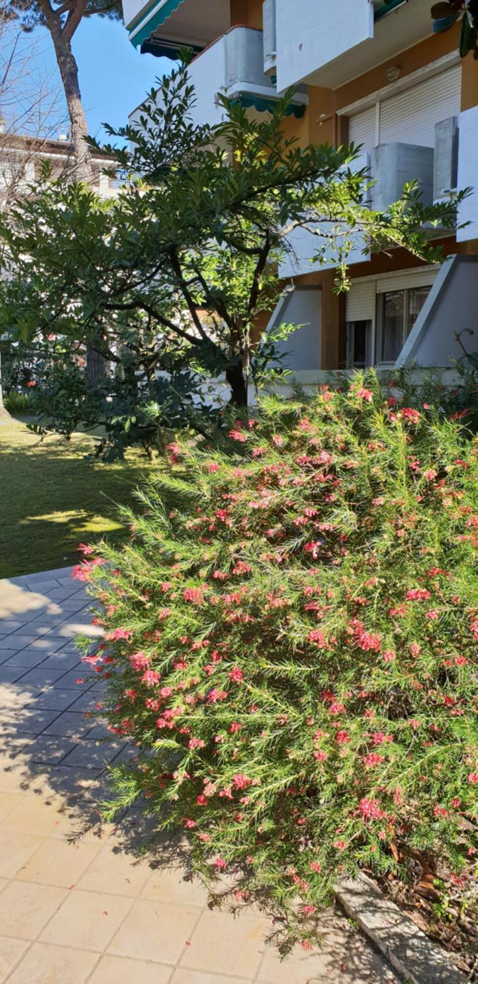 פורטה דיי מארמי Versilia Apartment מראה חיצוני תמונה
