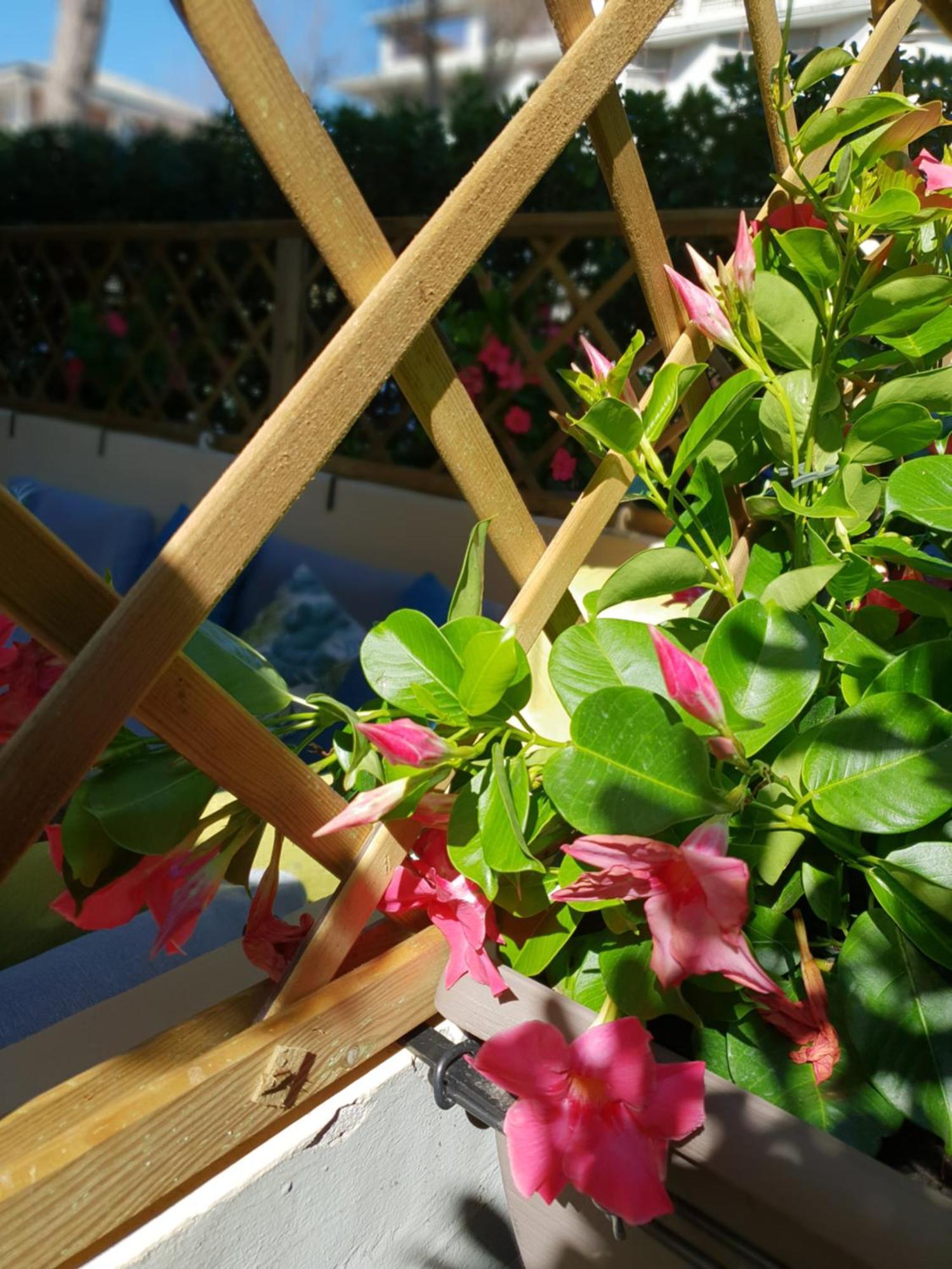 פורטה דיי מארמי Versilia Apartment מראה חיצוני תמונה
